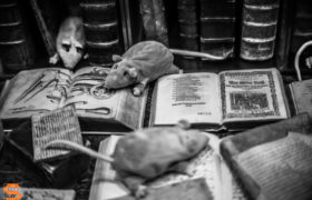 Book Rat (Leseratte) - Still Life in Black & White